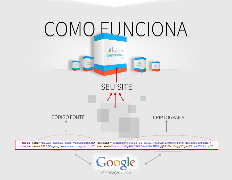 SEO-SC-SEO-SANTA-CATARINA-SC-Software WEB 1.0