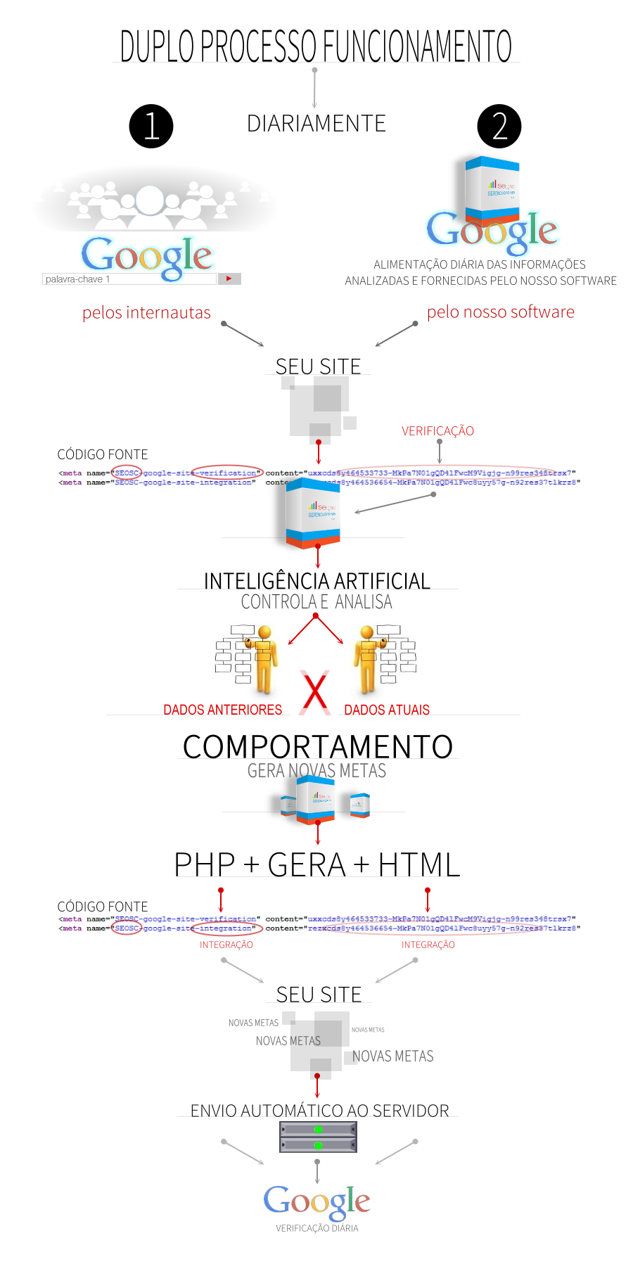 SEO-SC-SEO-SANTA-CATARINA-SC-Software WEB 1.0